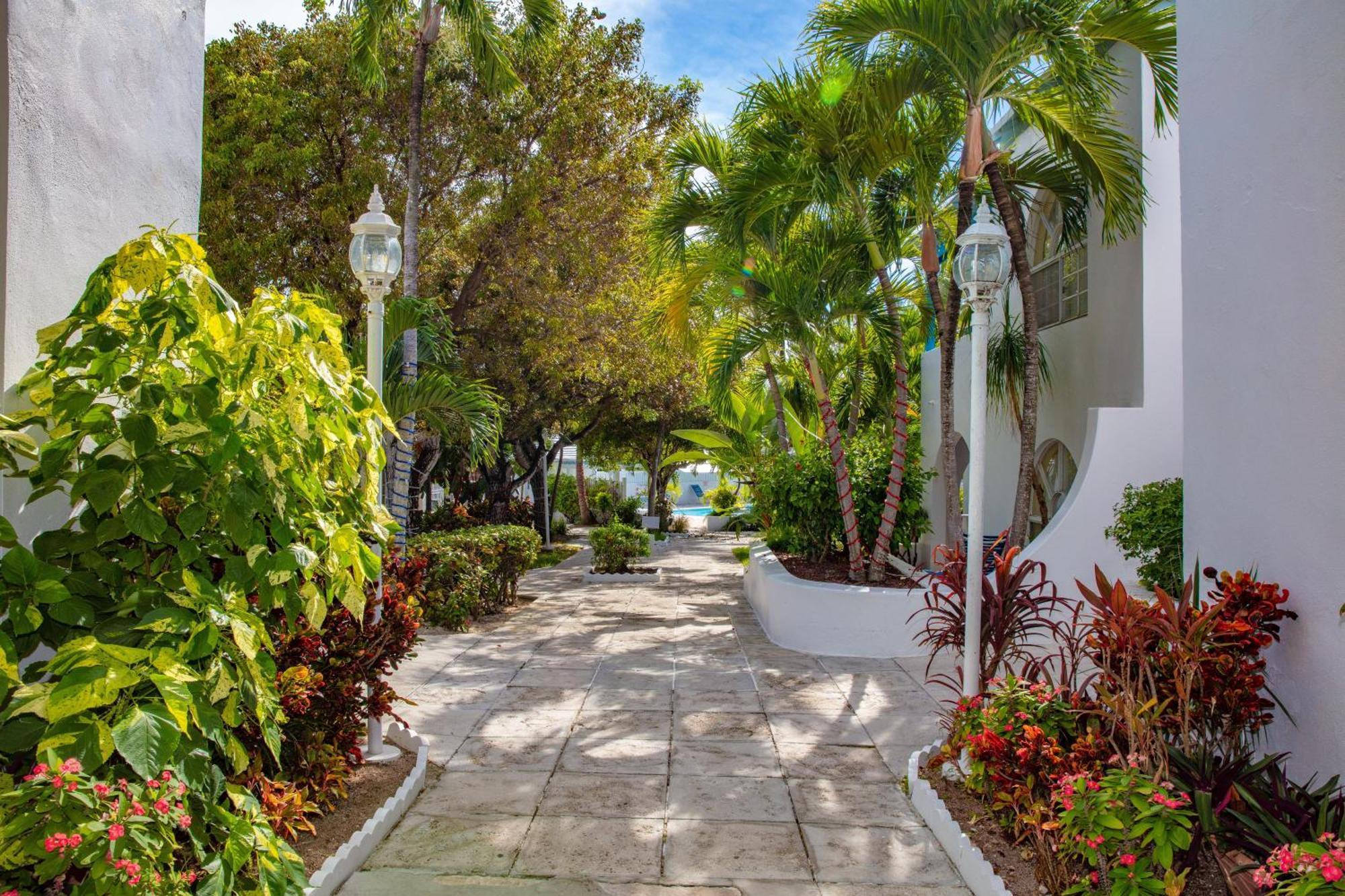 Paradise Island Beach Club Ocean View Villas Creek Village Εξωτερικό φωτογραφία